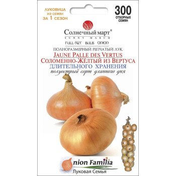Лук Соломенно-желтый из Вертуса /300 семян/ *Солнечный Март*