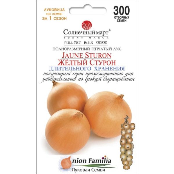 Насіння цибулі Жовтий Стурон /300 насінин/ *Сонячний Березень*