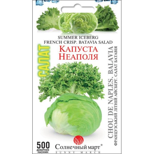 Семена салата Капуста Неаполя /500 семян/ *Солнечный Март*