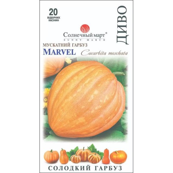Семена тыквы Диво /20 семян/ *Солнечный Март*