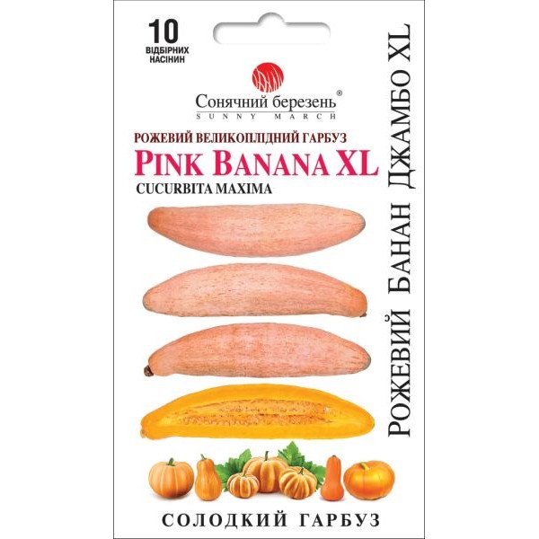 Семена тыквы Розовый банан Джамбо XL /10 семян/ *Солнечный Март*