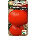 Томат Атлантида /20 семян/ *СибСад*