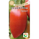 Томат Балерина /20 насінин/ *СібСад*