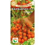 Томат Барбарис F1 /15 насінин/ *СібСад*