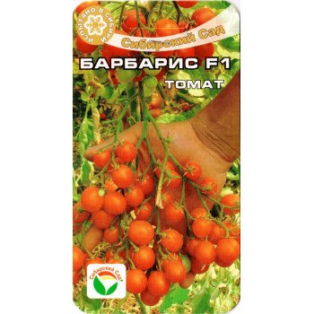 Томат Барбарис F1 /15 насінин/ *СібСад*