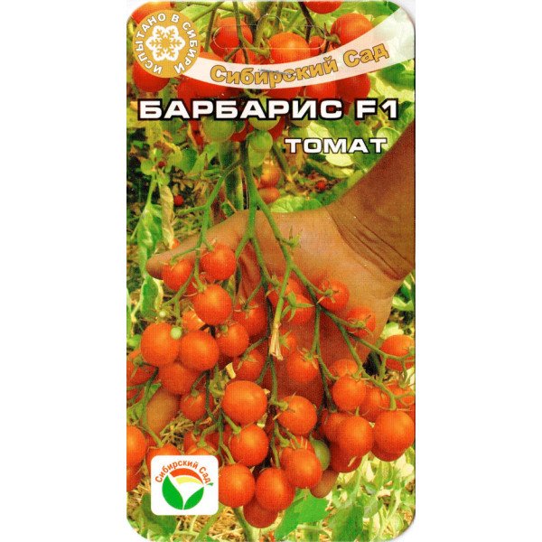 Семена томата Барбарис F1 /15 семян/ *СибСад*