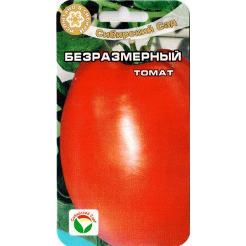 Томат Безрозмірний /20 насінин/ *СібСад*