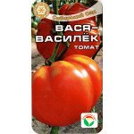 Томат Вася-Волошка /20 насінин/ *СибСад*