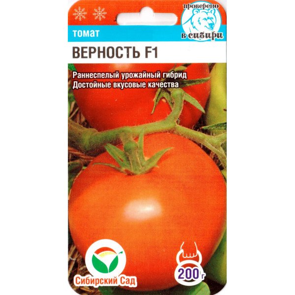 Семена томата Верность F1 /15 семян/ *СибСад*