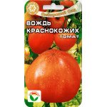 Томат Вождь Краснокожих /20 семян/ *СибСад*