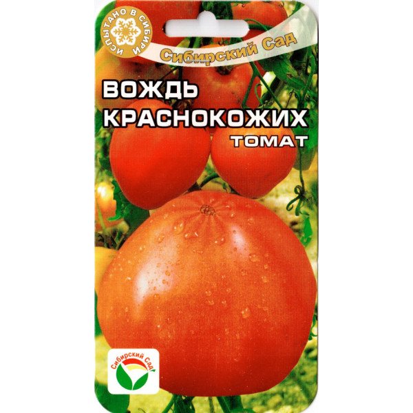 Семена томата Вождь Краснокожих /20 семян/ *СибСад*