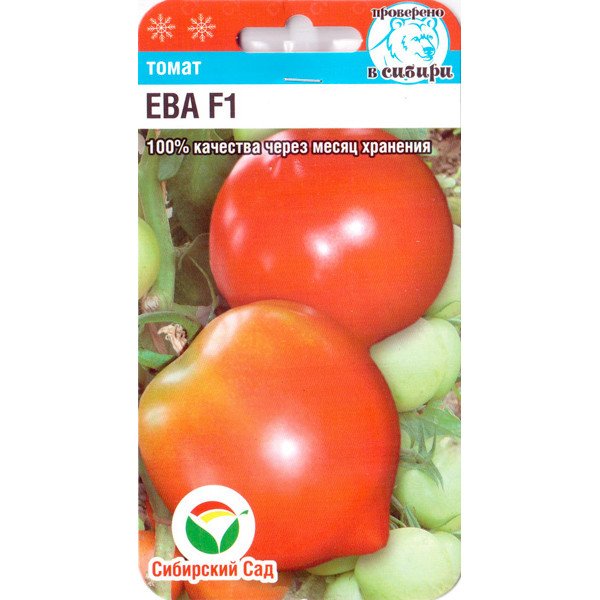 Томат Єва F1 /15 насінин/ *СибСад*
