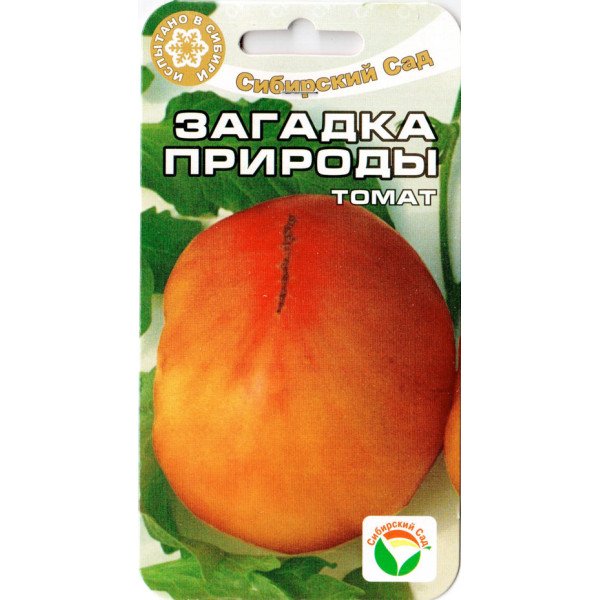 Томат Загадка природи /20 насінин/ *СибСад*