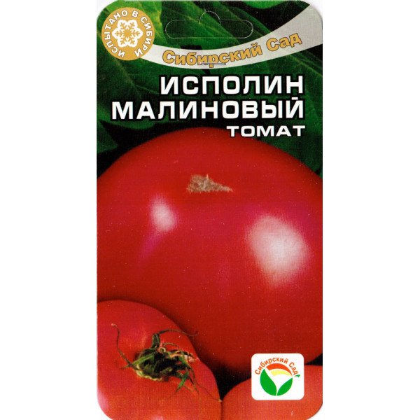Томат Ісполін Малиновий /20 насінин/ *СибСад*