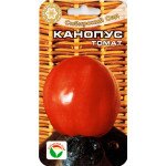 Томат Канопус /20 насінин/ *СибСад*