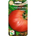 Томат Пані Яна /20 насінин/ *СибСад*