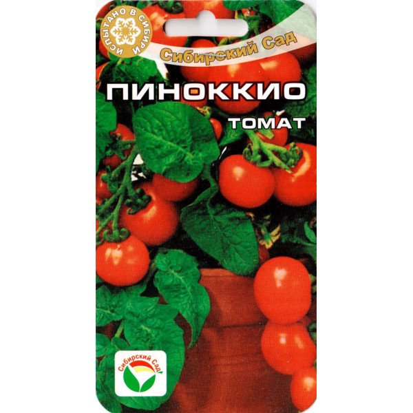 Томат Піноккіо /20 насінин/ *СибСад*
