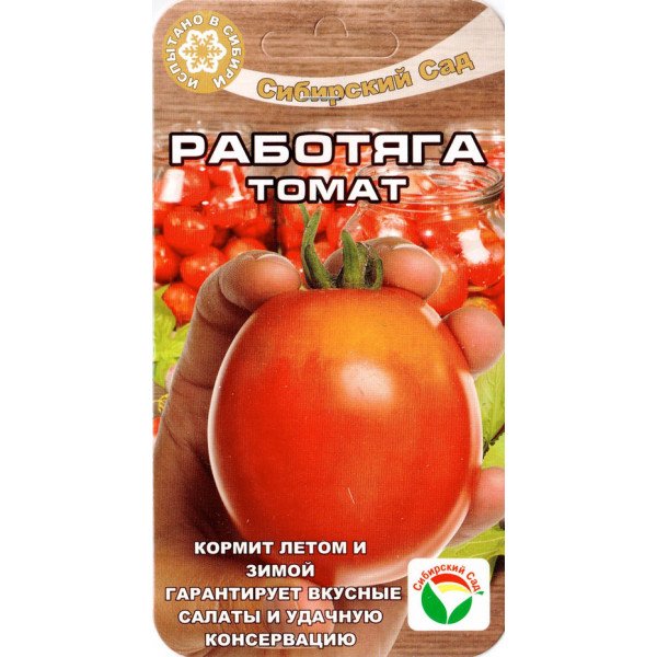 Томат Роботяга /20 насінин/ *СибСад*