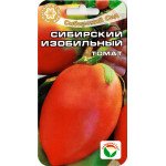Томат Сибирский изобильный /20 семян/ *СибСад*