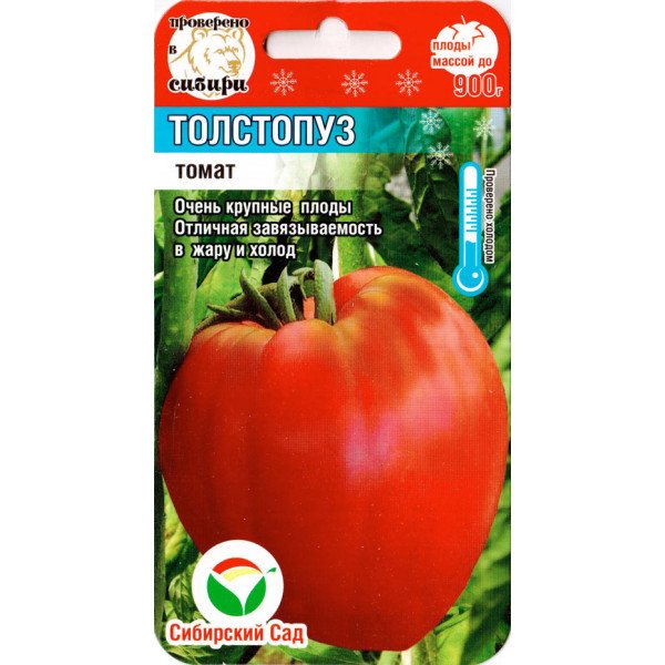 Томат Толстопуз /20 семян/ *СибСад*