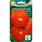 Томат Шахерезада /20 семян/ *СибСад*