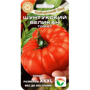 Томат Шунтукський Велетень /20 насінин/ *СибСад*