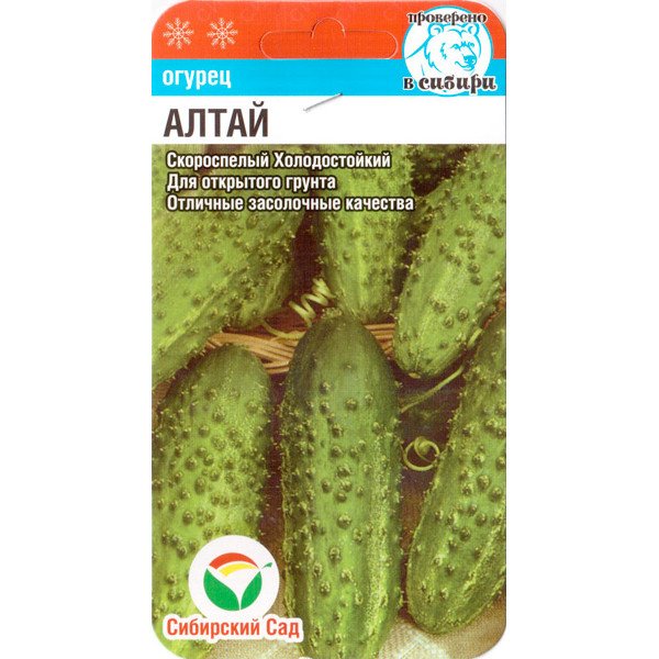 Семена огурца Алтай /7 семян/ *СибСад*
