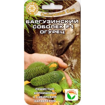 Огурец Баргузинский соболек F1 /7 семян/ *СибСад*