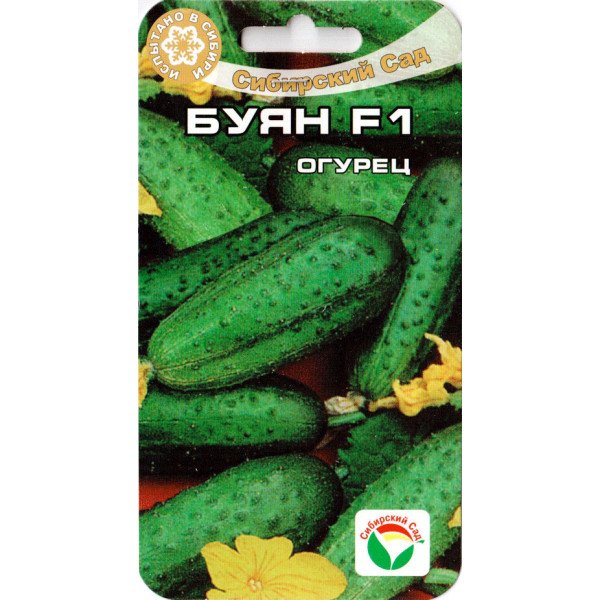 Семена огурца Буян F1 /7 семян/ *СибСад*