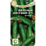 Огірок Вірні Друзі F1 /7 насінин/ *СібСад*