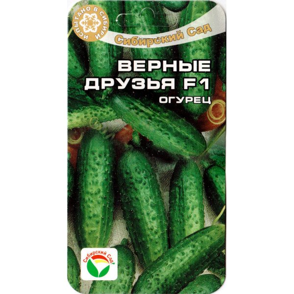 Семена огурца Верные Друзья F1 /7 семян/ *СибСад*