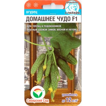 Огірок Домашнє диво F1 /7 насінин/* СібСад*