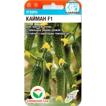 Огірок Кайман F1 /7 насінин/ *СібСад*