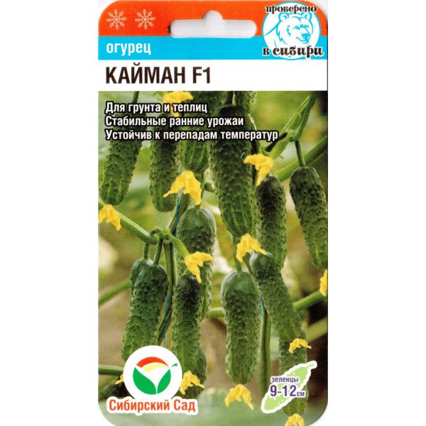 Семена огурца Кайман F1 /7 семян/ *СибСад*