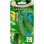 Огурец Каналья F1 /7 семян/ *СибСад*
