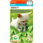 Огурец Кнопа F1 /7 семян/ *СибСад*