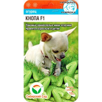 Огірок Кнопа F1 /7 насінин/ *СібСад*