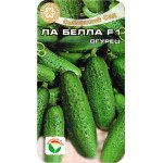 Огурец Ла Белла F1 /7 семян/ *СибСад*