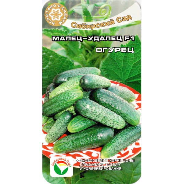 Насіння огірка Малець-удалець F1 /7 насінин/ *СибСад*