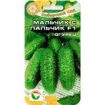 Огірок Мальчик з пальчик F1 /7 насіння/ *СібСад*