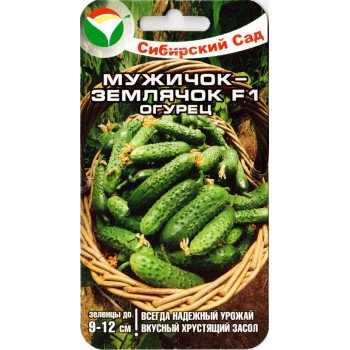 Огірок Мужичок-землячок F1 /7 насінин/ *СібСад*