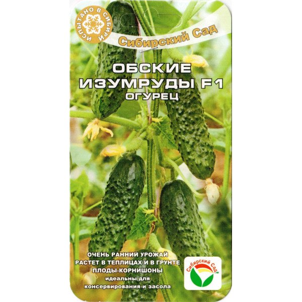 Семена огурца Обские изумруды F1 /7 семян/ *СибСад*