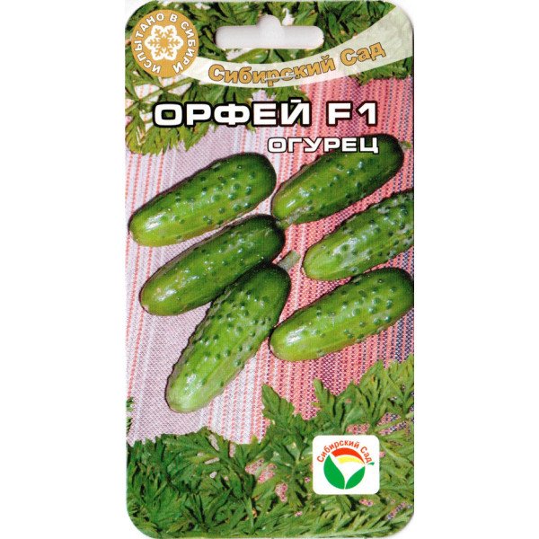 Семена огурца Орфей F1 /7 семян/ *СибСад*