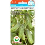 Огірок Петербурзький експрес F1 /7 насінин/ *СібСад*