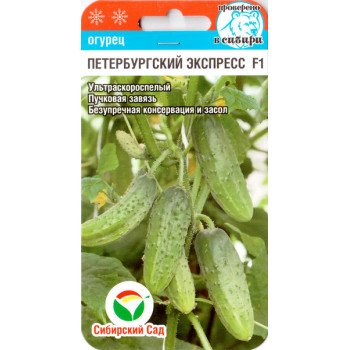Огурец Петербургский экспресс F1 /7 семян/ *СибСад*
