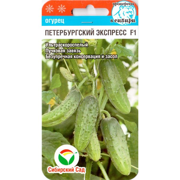 Семена огурца Петербургский экспресс F1 /7 семян/ *СибСад*