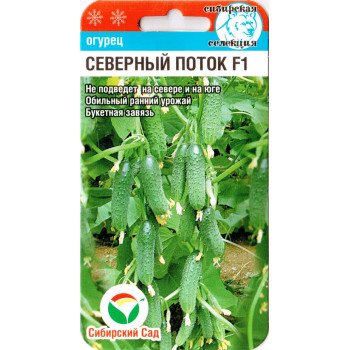 Огурец Северный поток F1 /7 семян/ *СибСад*