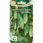 Огірок Серпантин /15 насінин/ *СібСад*