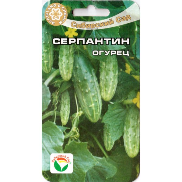 Насіння огірока Серпантин /15 насінин/ *СібСад*
