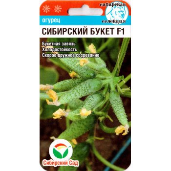 Огурец Сибирский букет F1 /7 семян/ *СибСад*